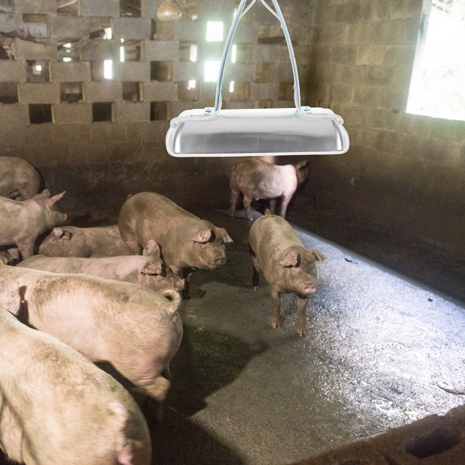 Farming A - Lampada di Protezione per Allevamento Suini,