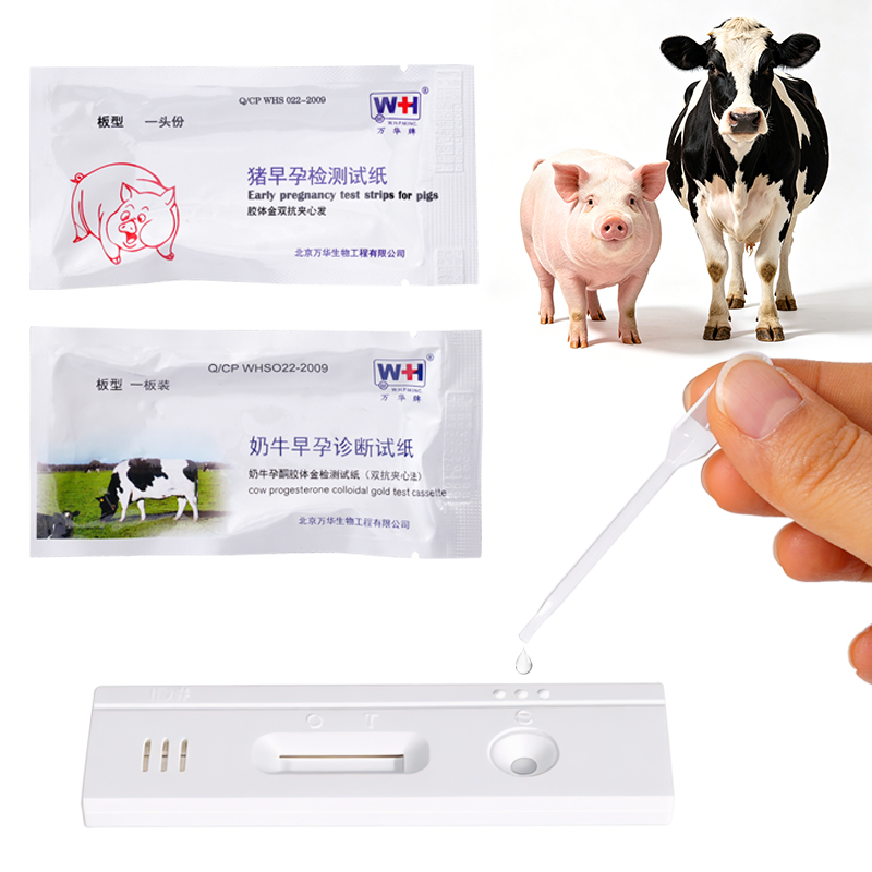 10 Strisce Reattive per Test d - Veterinary Syringe Gun recensione e prezzo