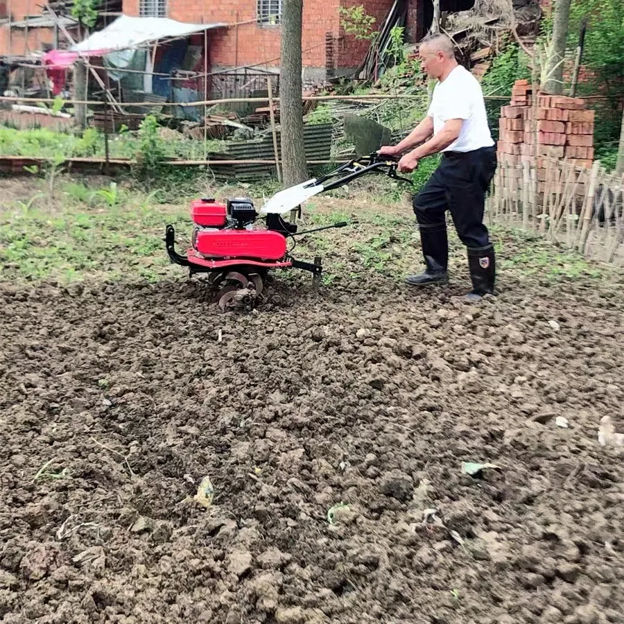 Offerta Speciale: Miglior Moto - Organic Farming Of Agriculture recensione e prezzo